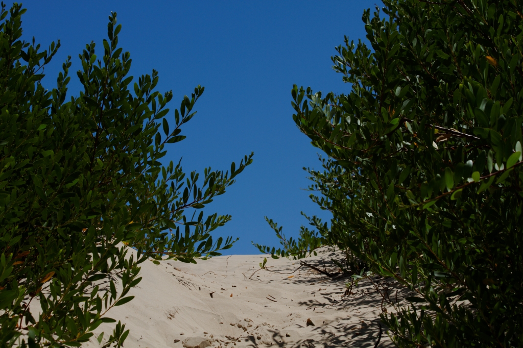 03 - Narawtapu NP (1).jpg